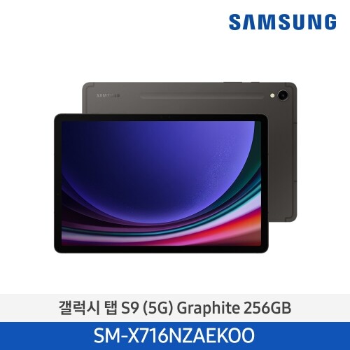 삼성 갤럭시탭 S9 (5G/256GB) SM-X716NZE 모델